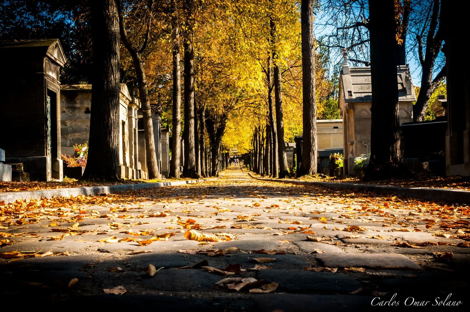 Alameda de otoño en Père Lachaise