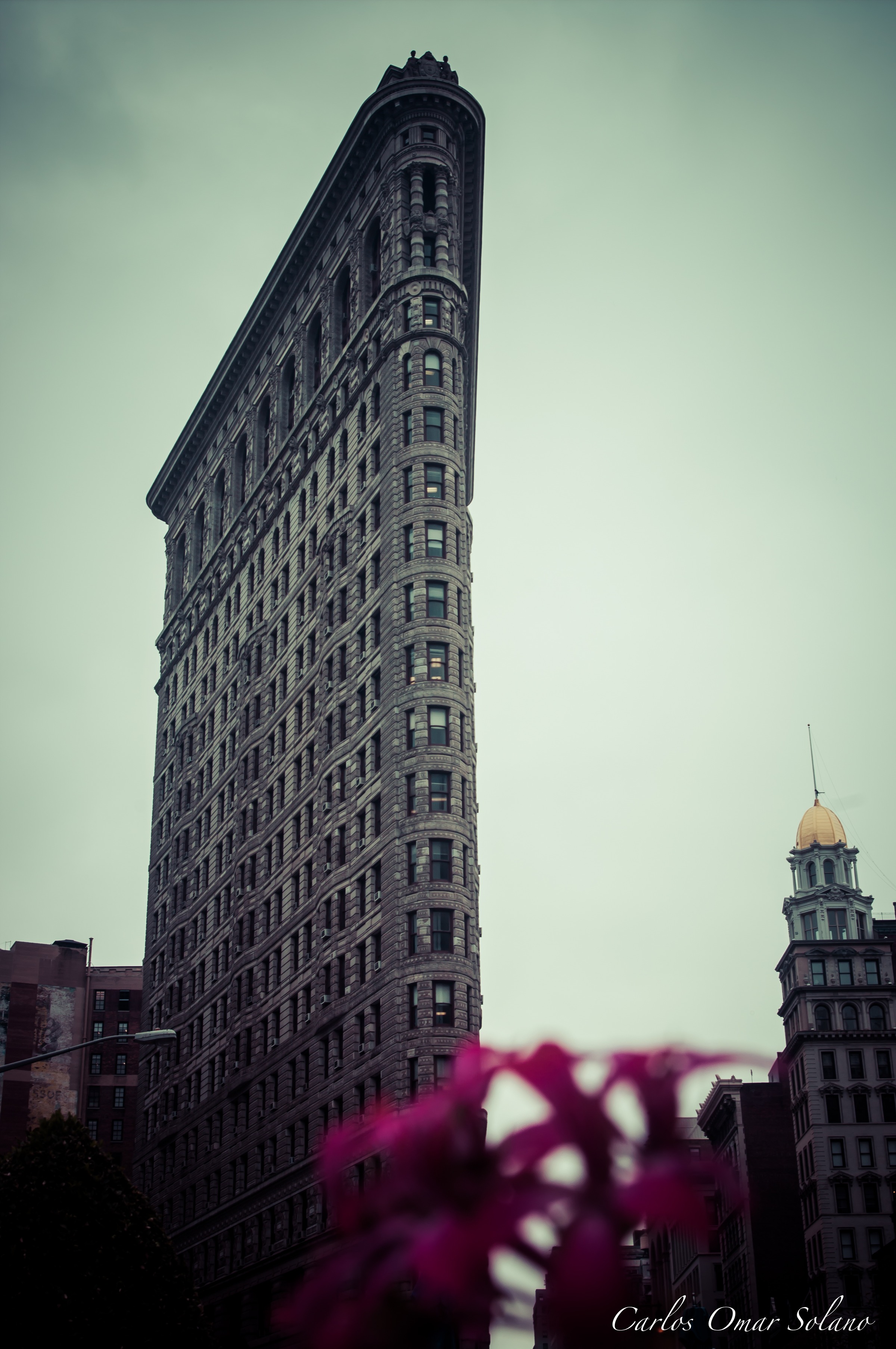 El Flatiron entre flores